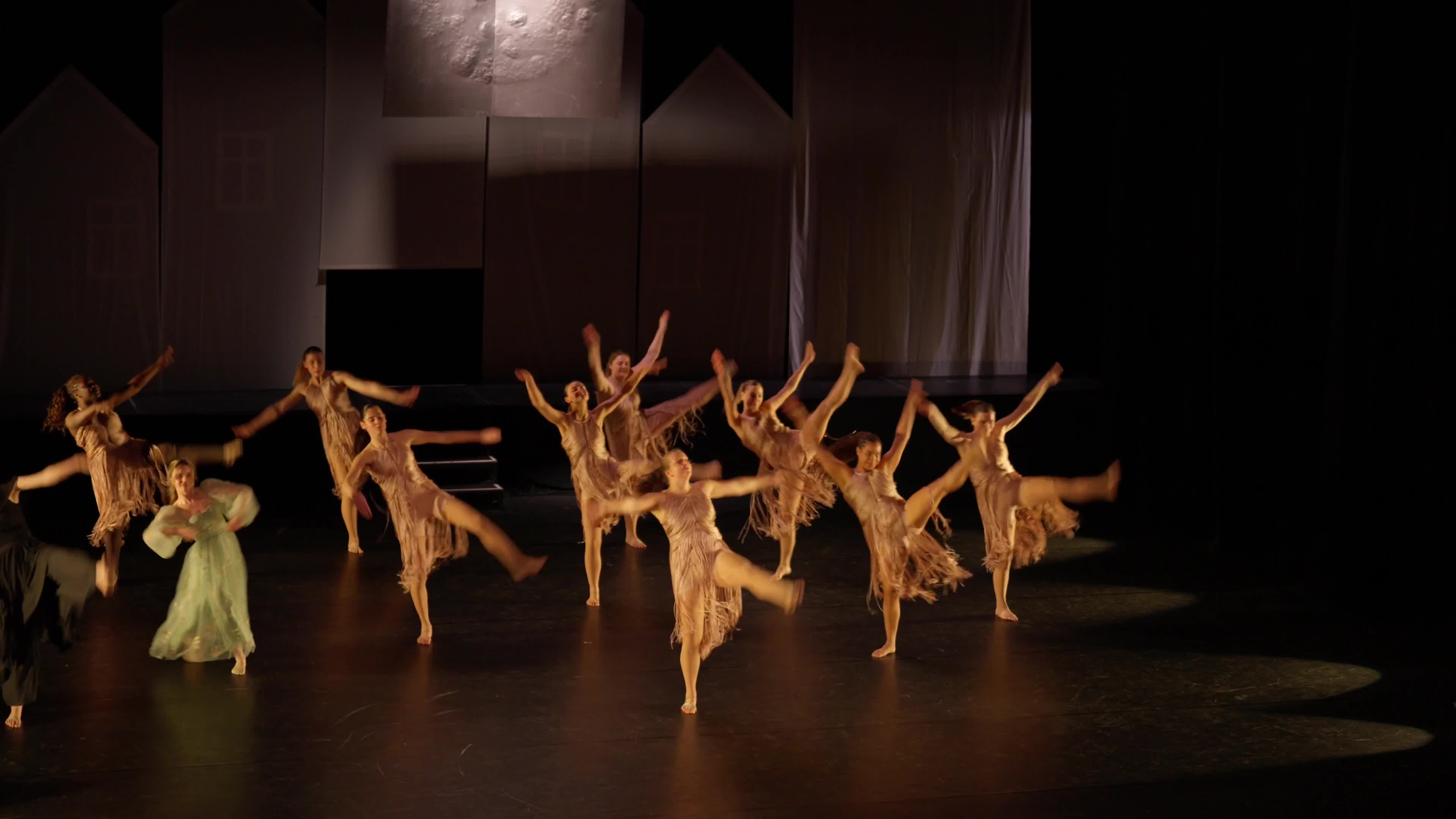 betoverende-dans-van-de-zilveren-maan-adults-jazz-selectie